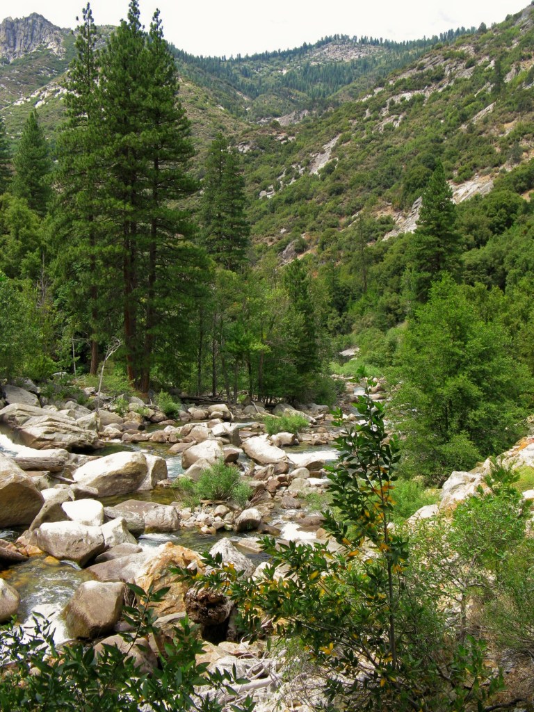 This image has an empty alt attribute; its file name is sequoia-kings-canyon-352-copy.jpg