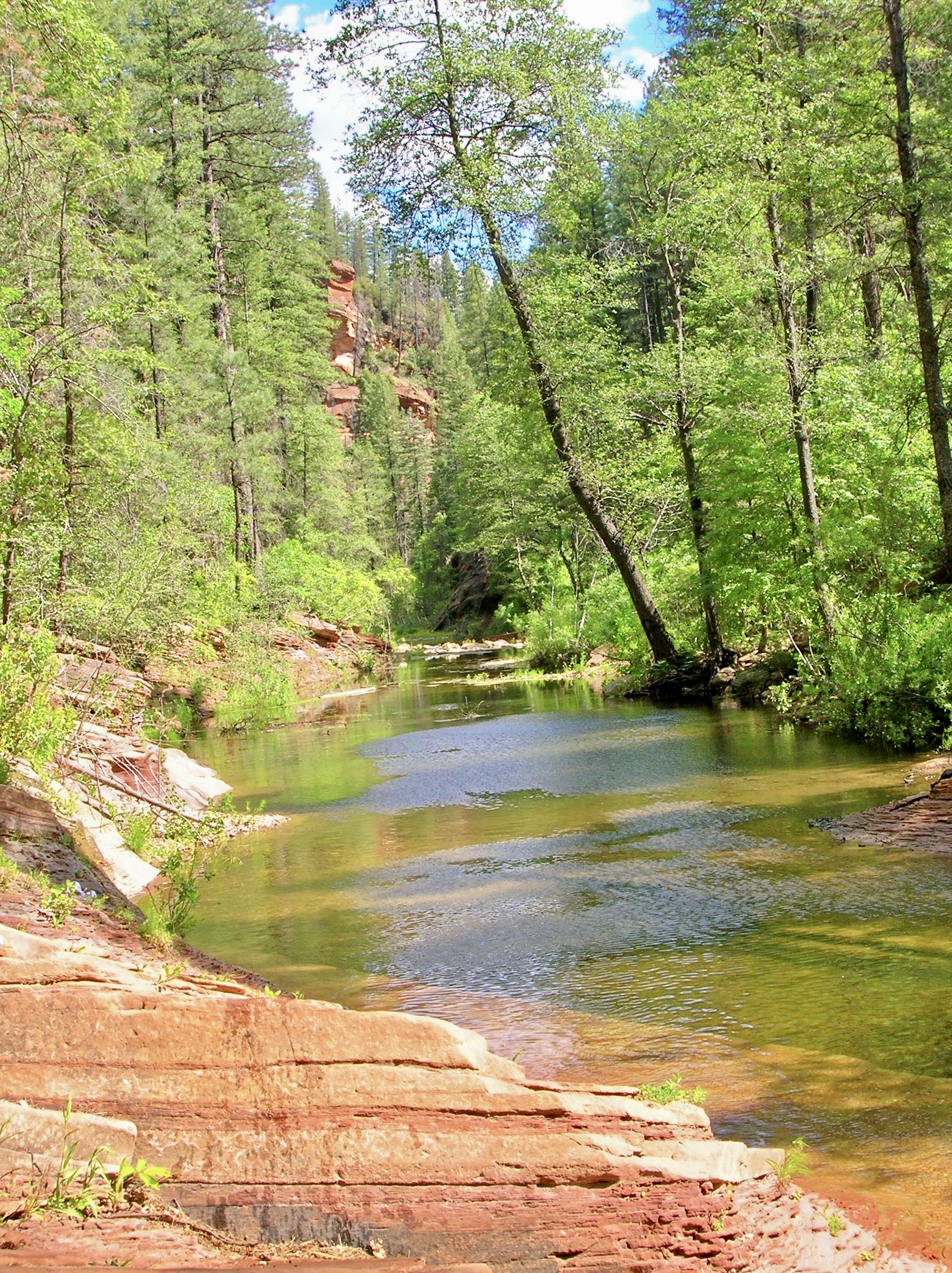 Red Rocks on the Water – Micro of the Macro